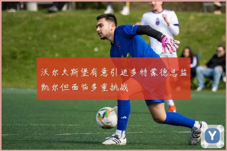 沃尔夫斯堡有意引进多特蒙德总监凯尔但面临多重挑战