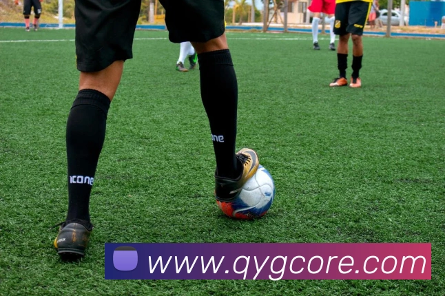 多媒体互动体验